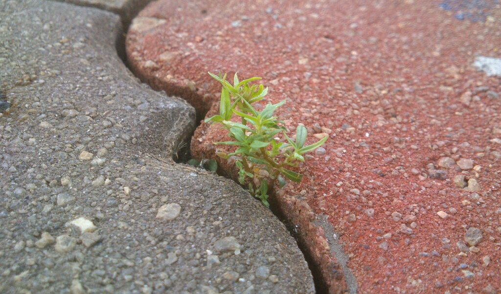 4. How Can I Overcome Obstacles And Setbacks To Achieve My Life Goals?