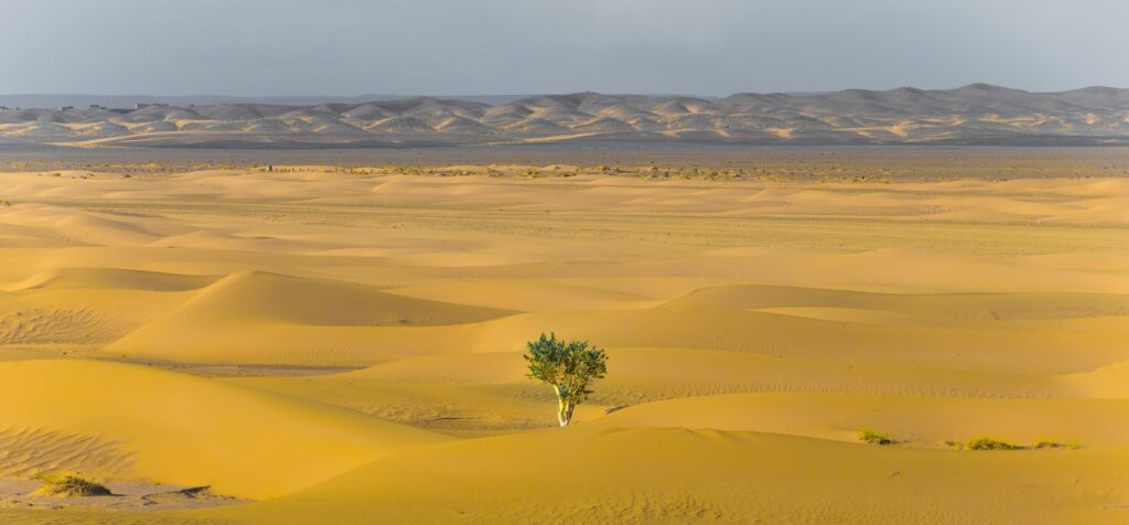 What Are The Benefits Of Cultivating A Resilient Mindset?